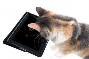 los mejores juegos de android para que tu gato los pruebe de inmediato en telefonos inteligentes y tabletas