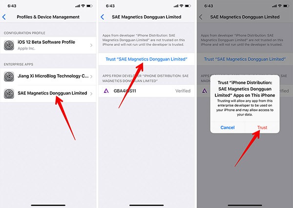 Cómo instalar GBA4iOS en iOS 12 para jugar al juego retro 10 SAE Magnetics Dongguan Limited