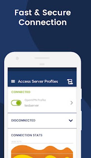 Abre una VPN