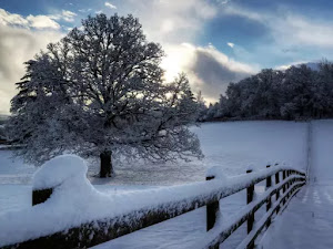 Fondos de pantalla de invierno para escritorio-14