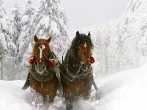Fondo de invierno-11