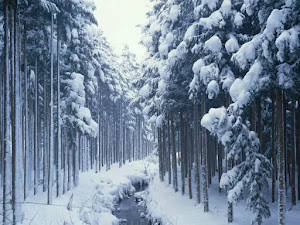 Fondos de pantalla de invierno para escritorio-12