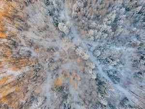 Fondos de pantalla de invierno para escritorio-13