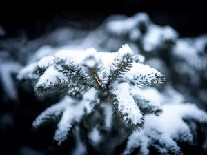 Fondos de pantalla de invierno para escritorio-21
