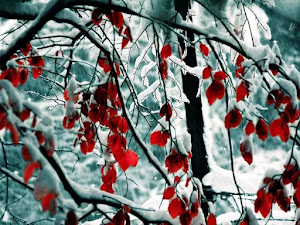 fondo-de-escritorio-de-invierno-26