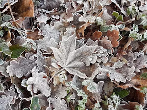 fondo-de-escritorio-de-invierno-29