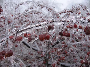 Fondos de pantalla de invierno para escritorio-31