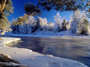 fondo-de-escritorio-de-invierno-30
