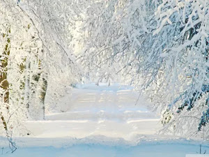 Invierno nieve-mesa-36
