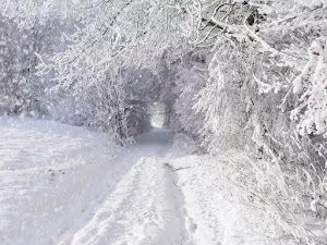 Fondos de pantalla de invierno para escritorio-38