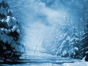 Fondos de pantalla de invierno para escritorio-40
