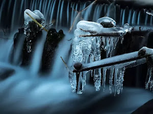 Fondo-nieve-41