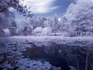 Fondos de pantalla de invierno para escritorio-41