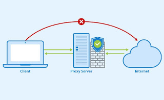 servidores proxy Apoderado