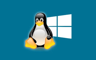 ubuntu ventanas 10
