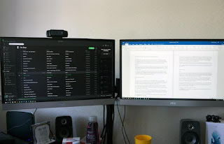 dos monitores