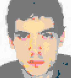 Yo convertiría la imagen a 8 bits.