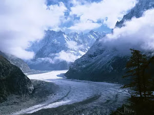 Fondo de invierno-07