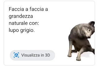 animales 3D