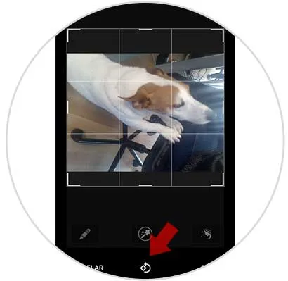 como poner una foto de perfil en whatsapp sin recortar