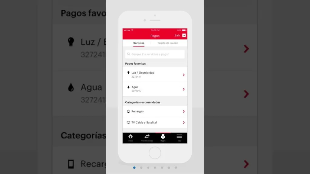 como recargar el saldo de su telefono a traves de la aplicacion