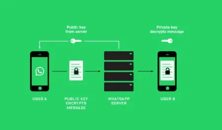 estado de whatsapp como usarlo parametros y significado