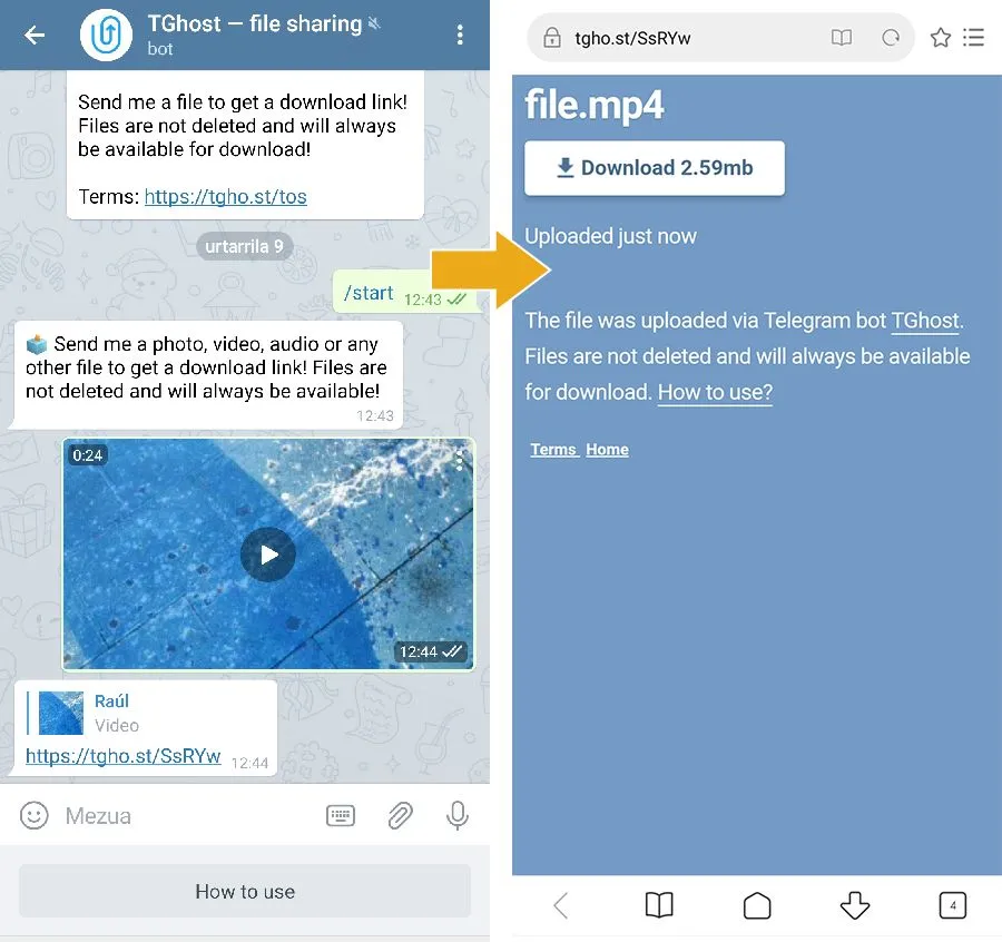 los mejores bots de telegram la lista para probar febrero 2021