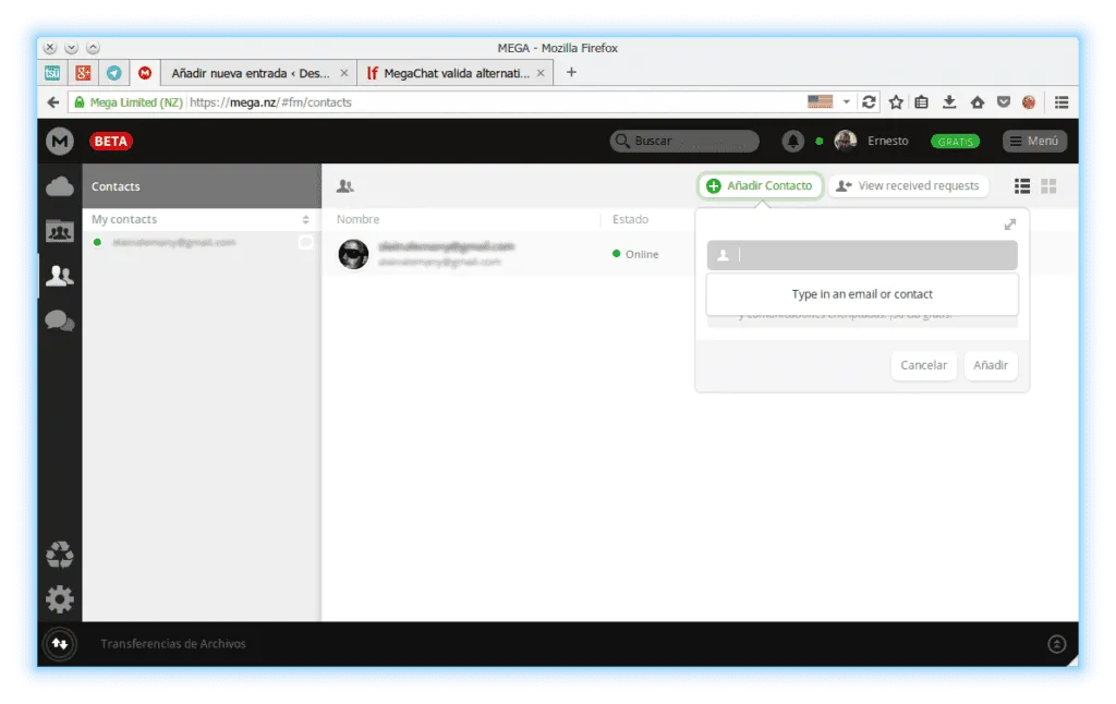 mega chat comunicacion de voz y video a traves de internet encriptado